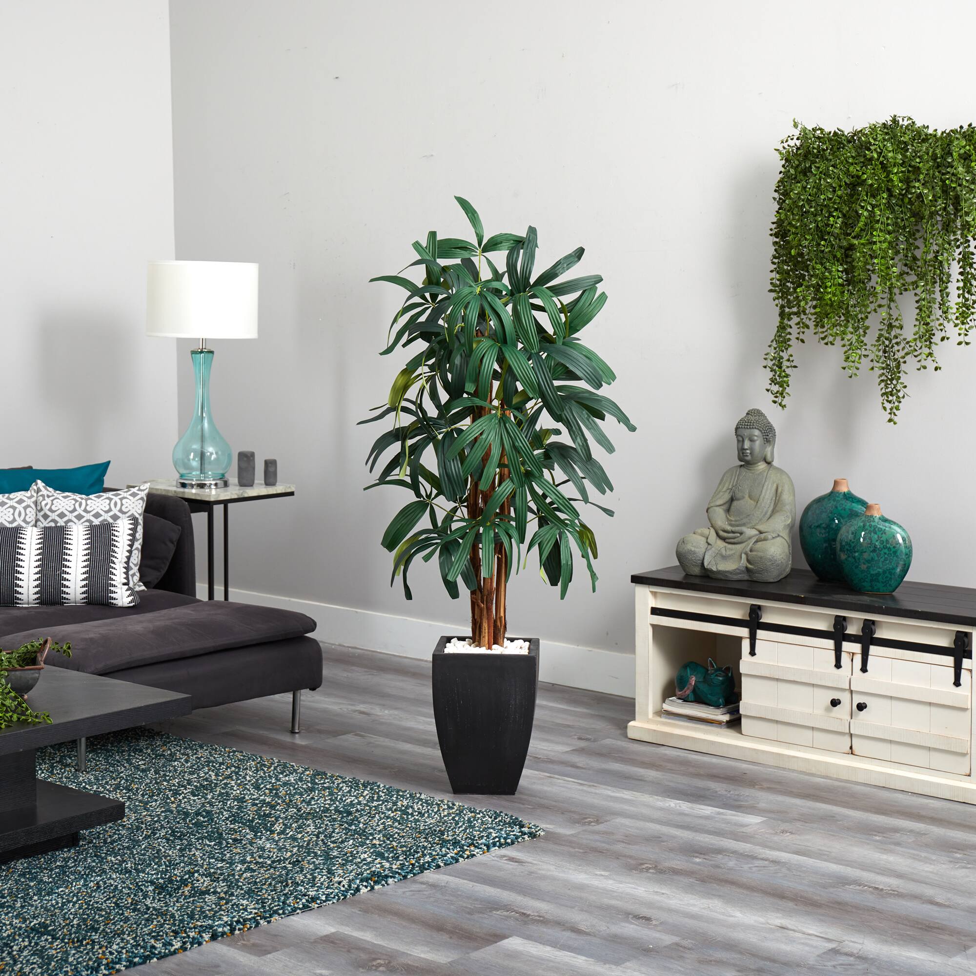 5.5ft. Potted Raphis Palm Tree in Black Decorative Planter